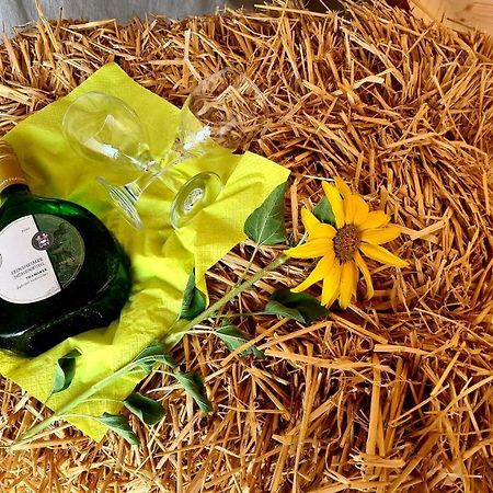 Schlaffass Mit Wellness In Alter Scheune Seinsheim Ngoại thất bức ảnh